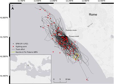 Resources and population traits modulate the association patterns in the common bottlenose dolphin living nearby the Tiber River estuary (Mediterranean Sea)